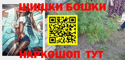 стаф Боровичи