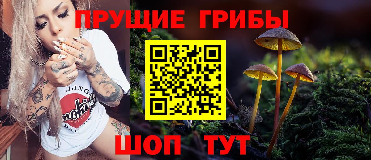 Псилоцибиновые грибы мицелий Владимир