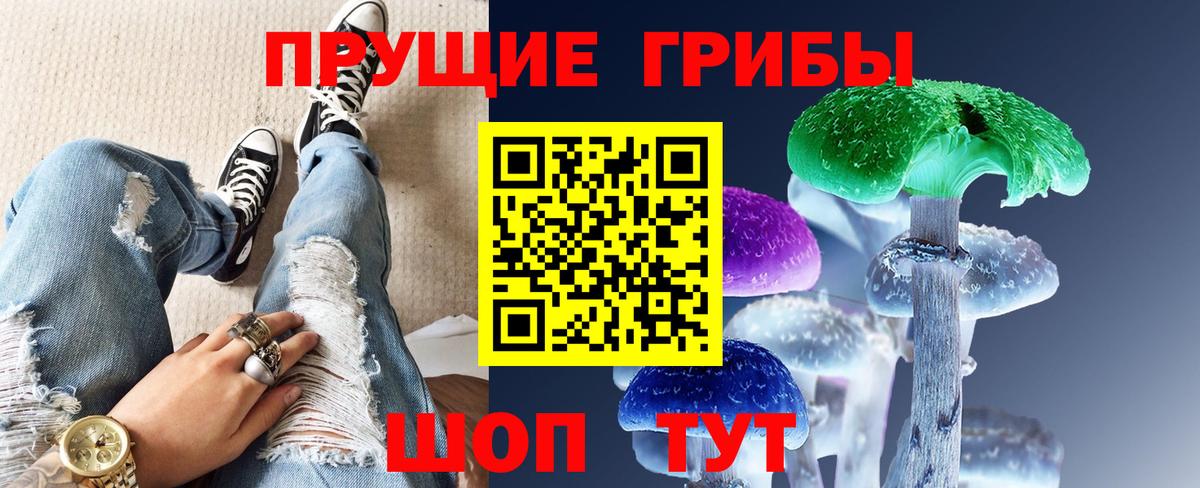 где купить наркоту  Псилоцибиновые грибы Psilocybine cubensis  Псилоцибиновые грибы мицелий  Вход с VPN  Владимир 